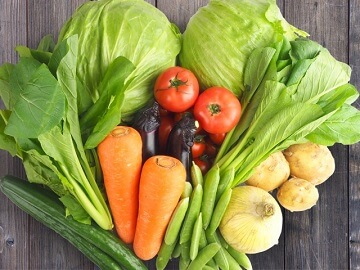 新鮮野菜の写真