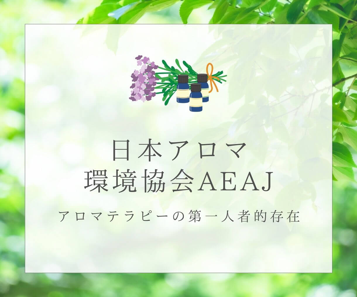 アロマといえばココ！日本アロマ環境協会（AEAJ）