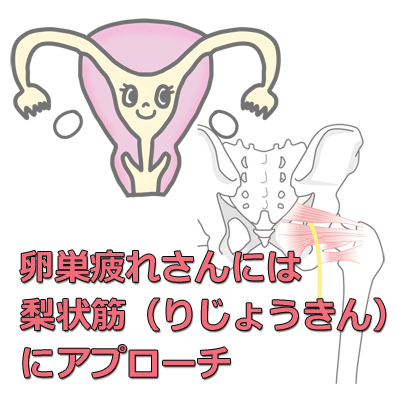 卵巣と梨状筋更年期障害のイラスト