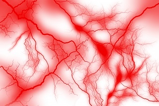血管の写真